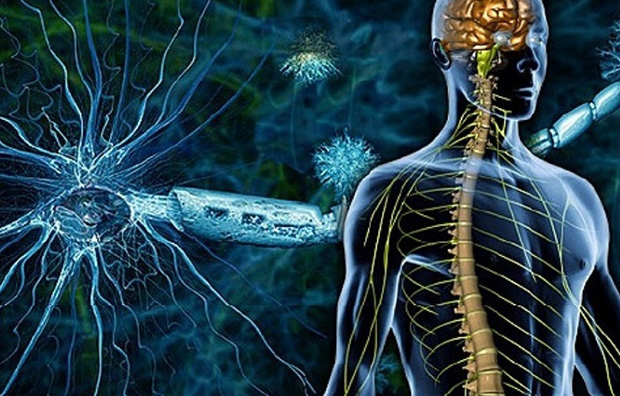 Патологии нервной системы